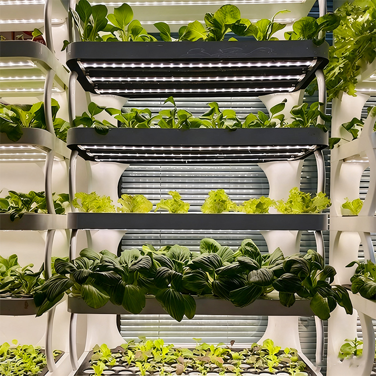 Intelligent Indoor Garden Plan - Smart Garden System review and price